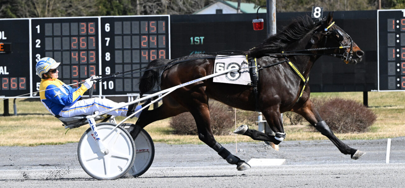 By The Book Victorious in Open Trot on Sunday at Saratoga Casino Hotel