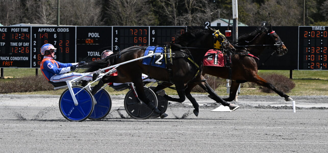 Trotting Filly Meepers is Two For Two in 2024 at Saratoga Casino Hotel
