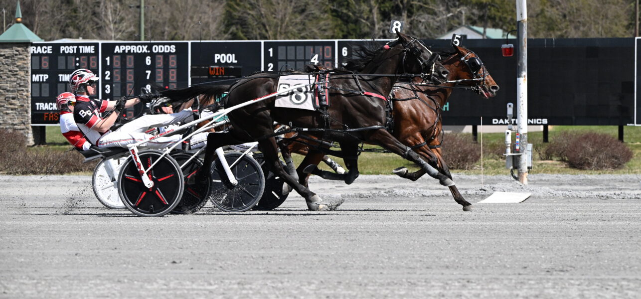 Always Watching Wins Filly/Mare Open at Saratoga Casino Hotel on Tuesday