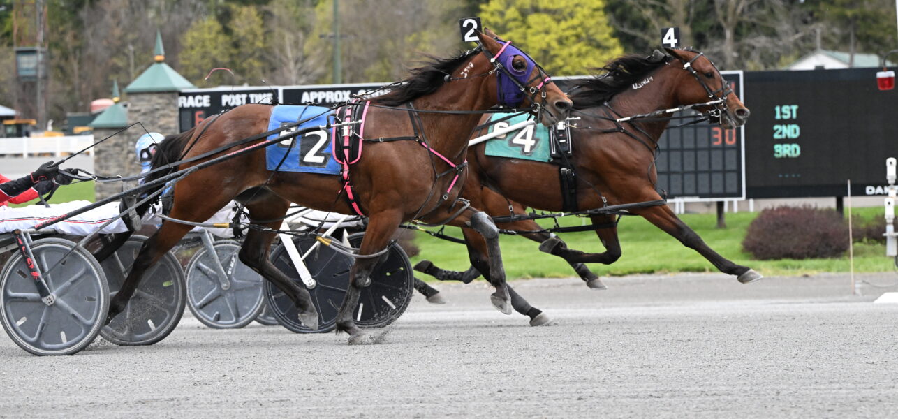 Always Watching Wins Filly/Mare Open Pace at Saratoga Casino Hotel on Monday