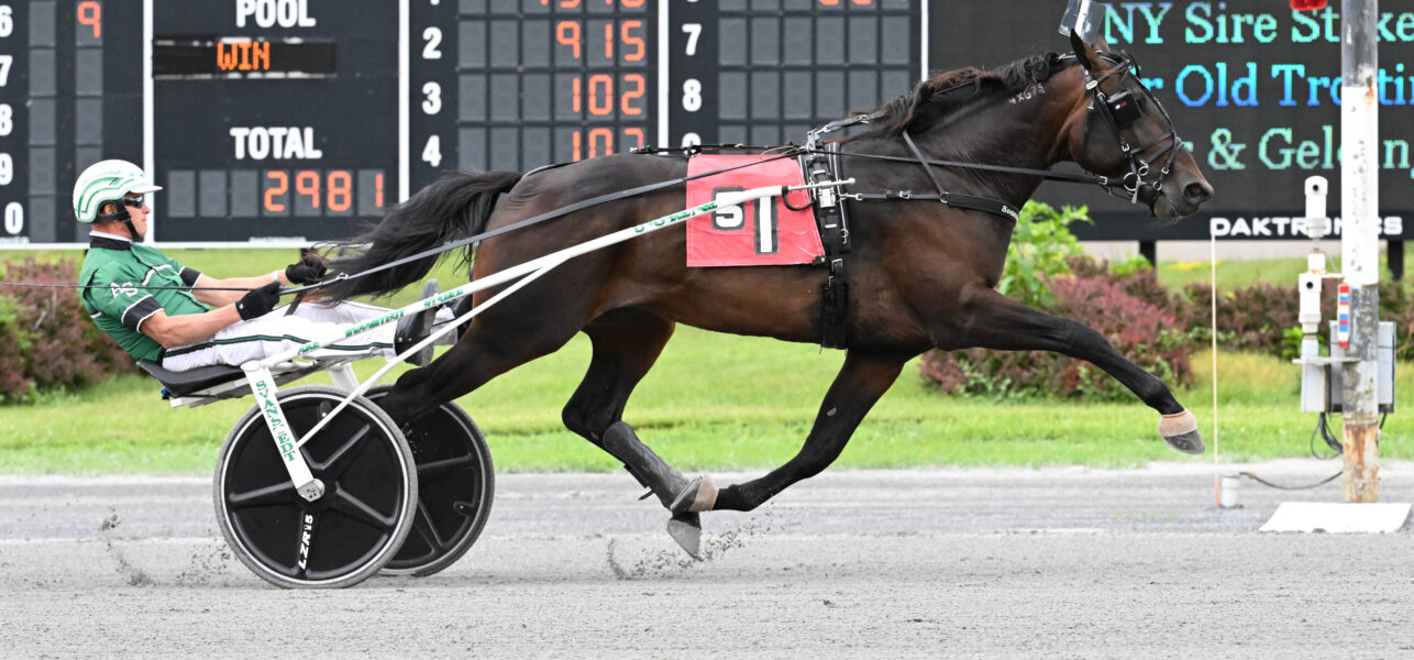 Mr Mouton Wins Division of NYSS 2-Year-Old Trotting Colts Series