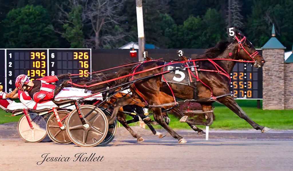 Saratoga Casino Hotel to Feature 15th Annual Joe Gerrity Jr. Memorial Pace