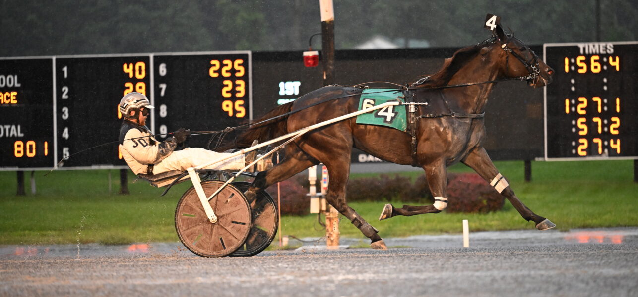 Bluffinner Wins the Open Trot At Saratoga Casino Hotel on Thursday