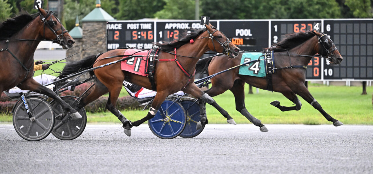 Royal Mission Captures NYSS