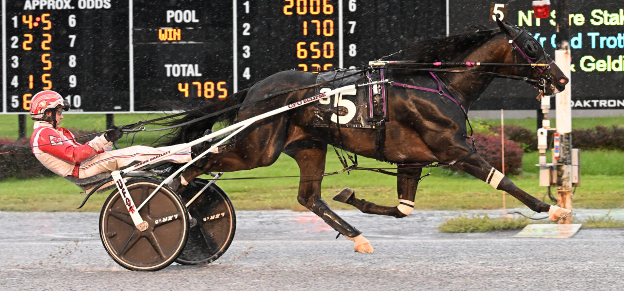 Sir Pinocchio wins Sire Stakes for Three-Year-Old Trotting Colts at Saratoga Casino Hotel