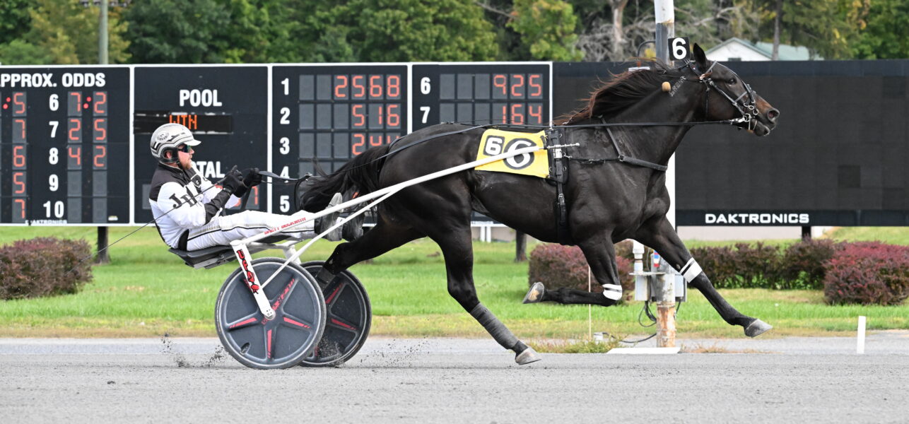 Saratoga Casino Hotel Harness Racing Recap Sept 28 – 30, 2024