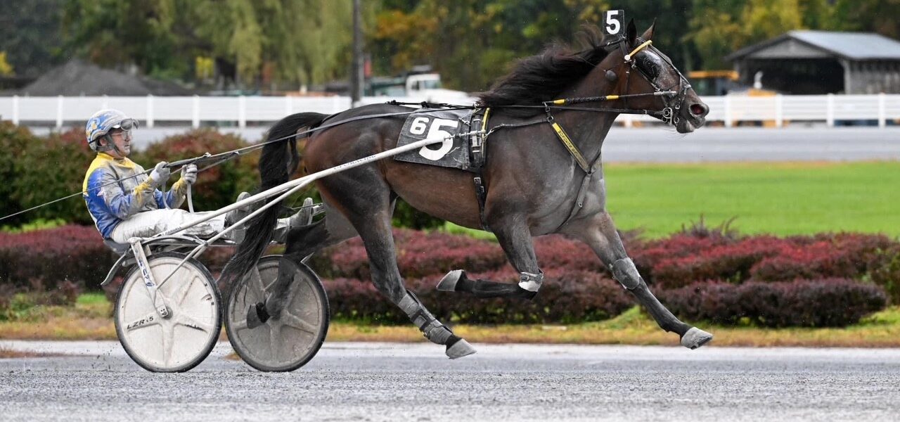 Saratoga Casino Hotel Harness Racing Recap October 12 – 14