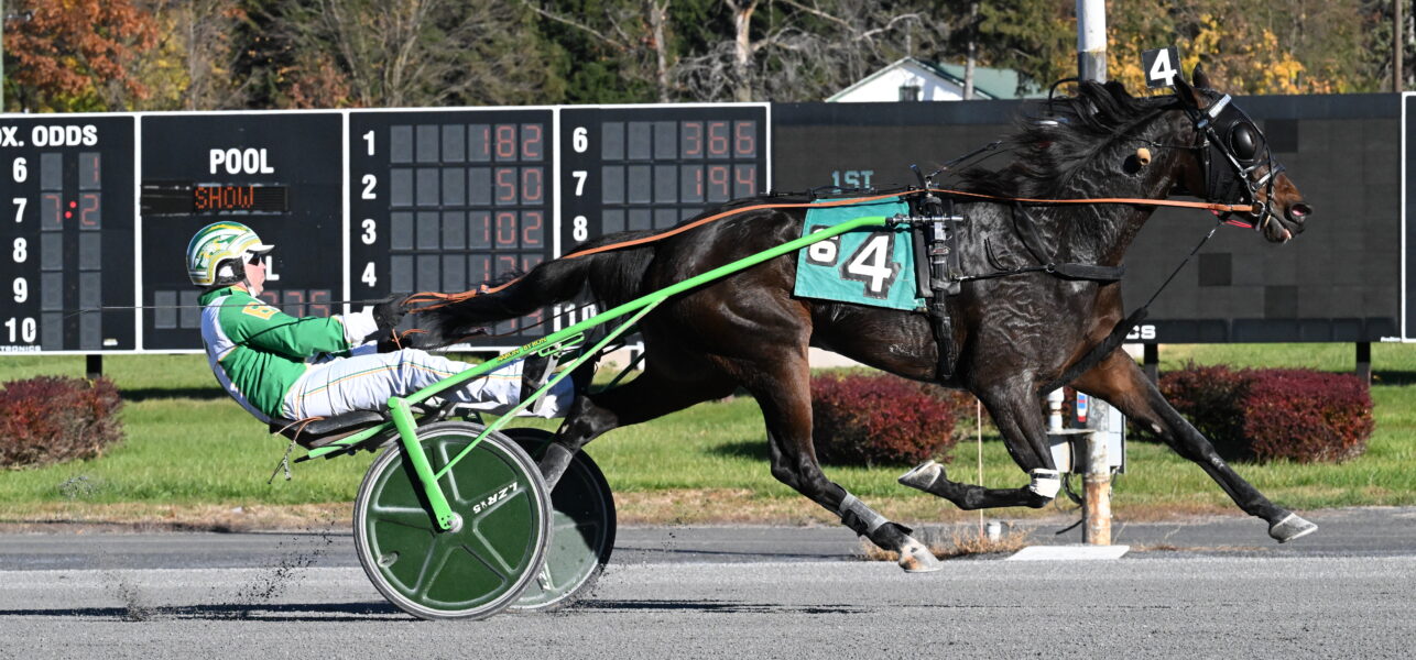Saratoga Casino Hotel Harness Racing Highlights 11/2 – 11/5/2024