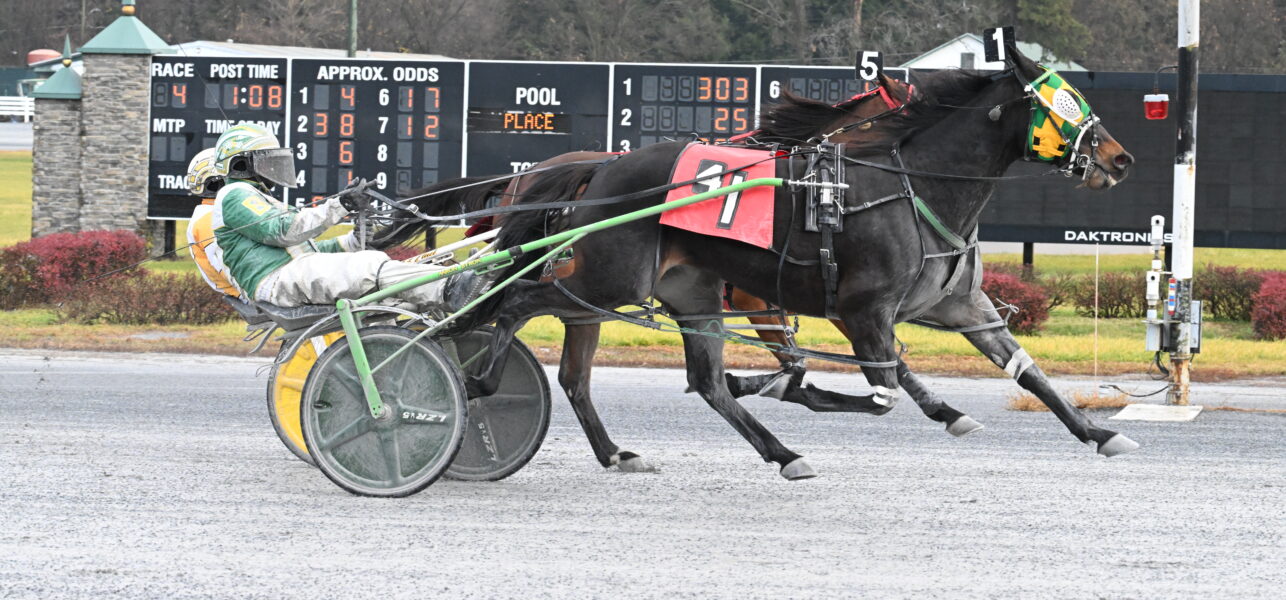 Saratoga Casino Hotel Harness Racing Highlights 11/23 – 11/26/2024