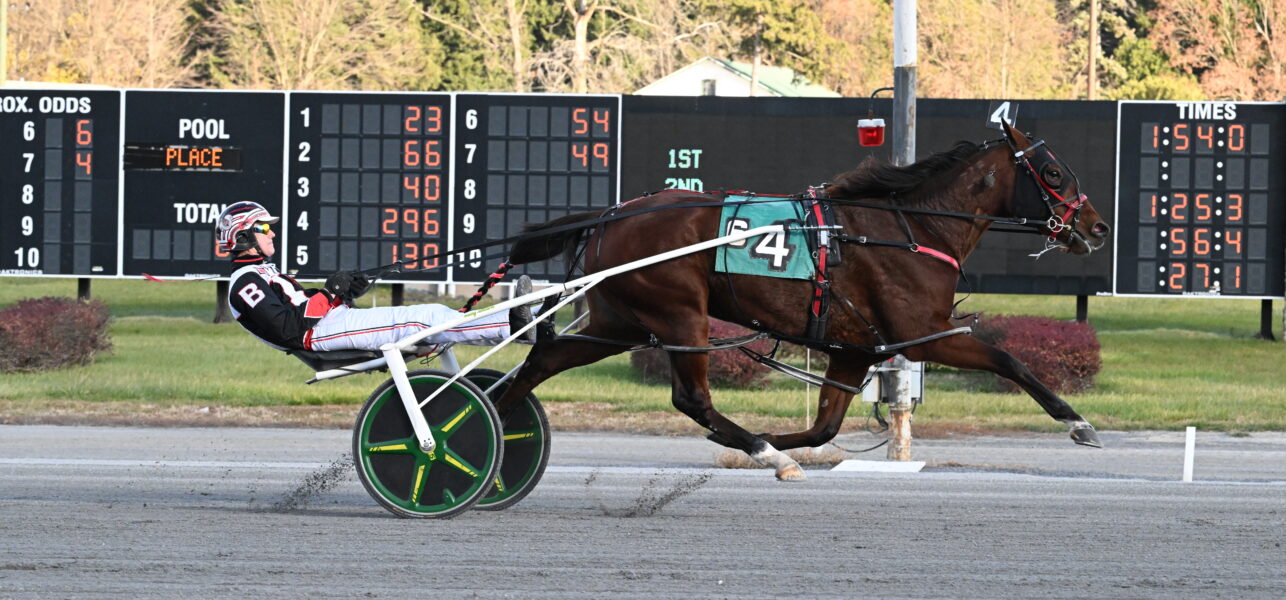 Saratoga Casino Hotel Harness Racing Highlights 11/16 to 11/19/2024