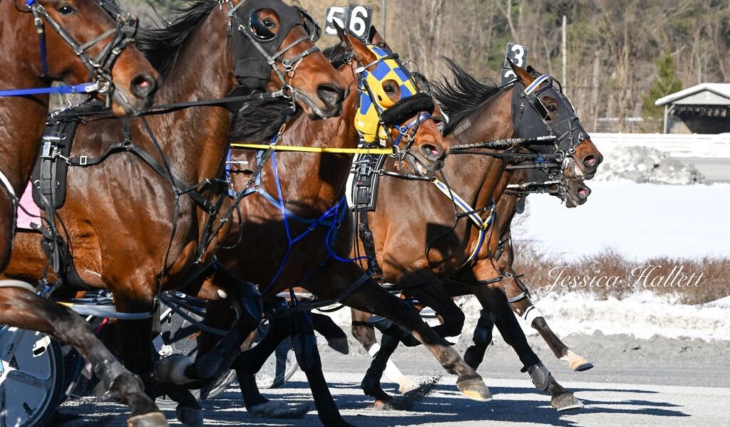 Saratoga Harness Racing Recap Sunday 5/11