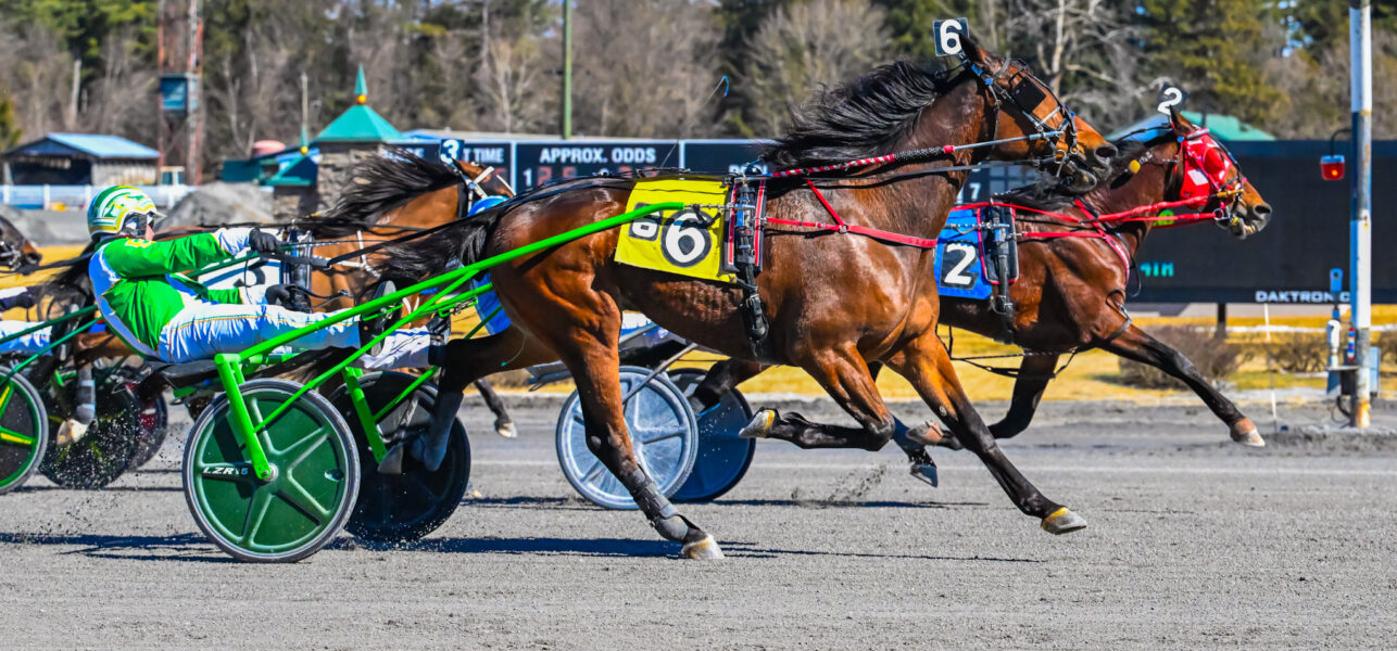 Saratoga Harness Racing Recap Monday, 3/10