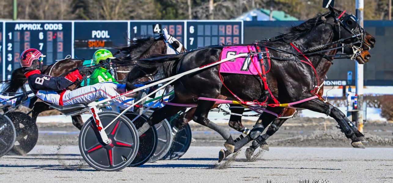Saratoga Harness Racing Recap Sunday, 3/2
