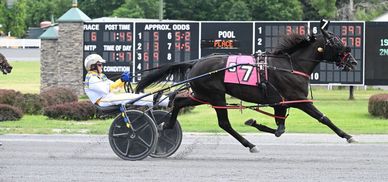 Saratoga Harness Racing Recap Tuesday 7/8