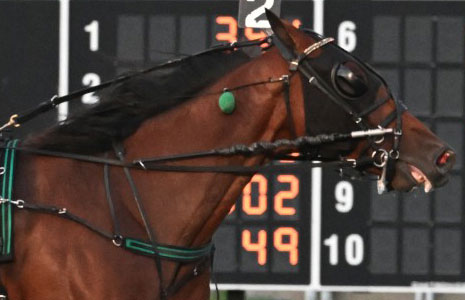 Saratoga Casino Hotel to Feature 16th Annual Joe Gerrity Jr. Memorial Pace