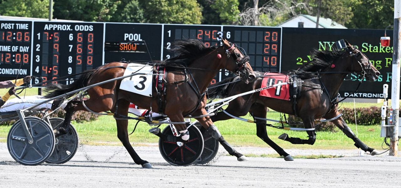 Saratoga Harness Racing Recap Tuesday 9/9