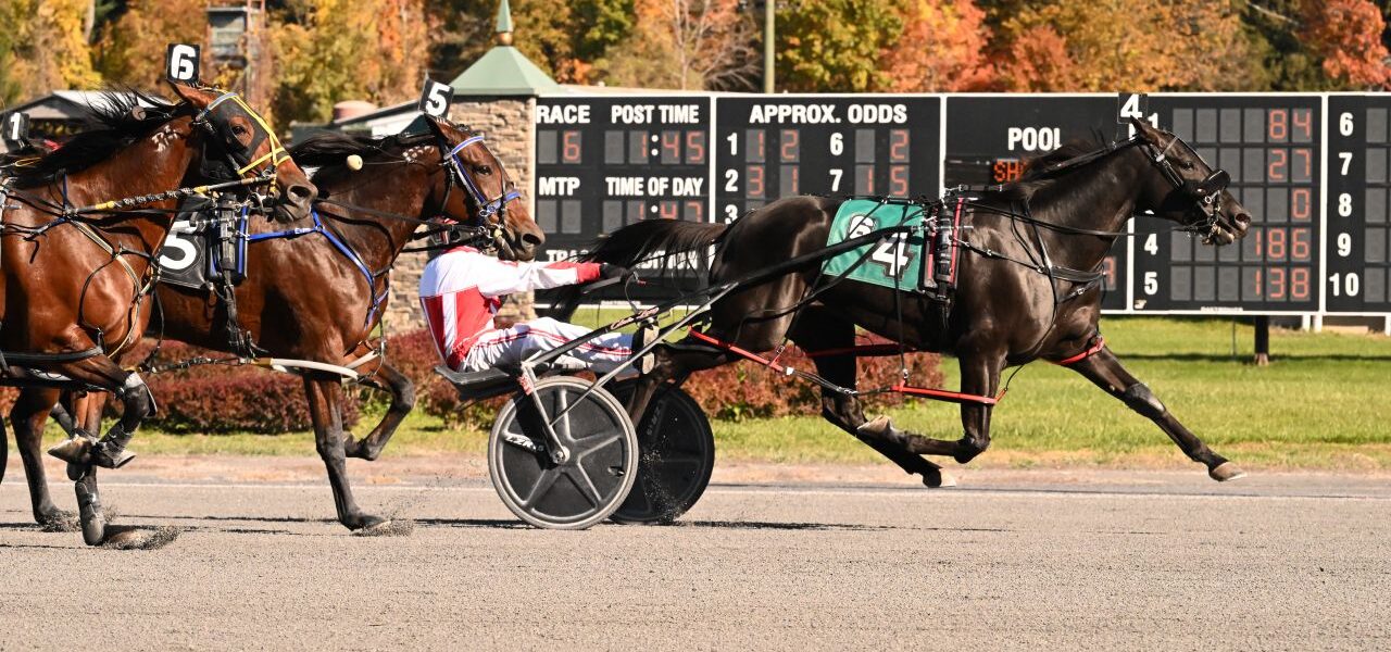 Harness Racing Recap Tuesday 10/28