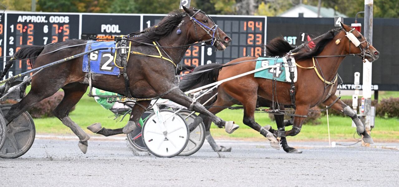Saratoga Harness Racing Recap Monday 10/13