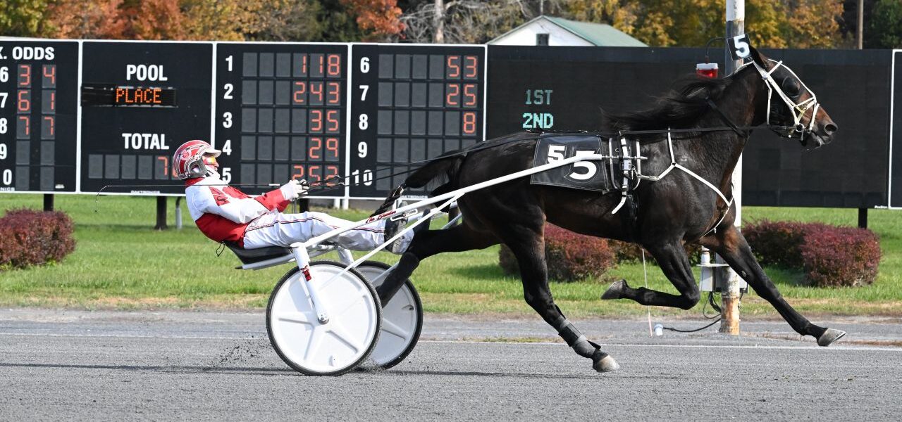 Saratoga Harness Racing Update Wednesday 10/29