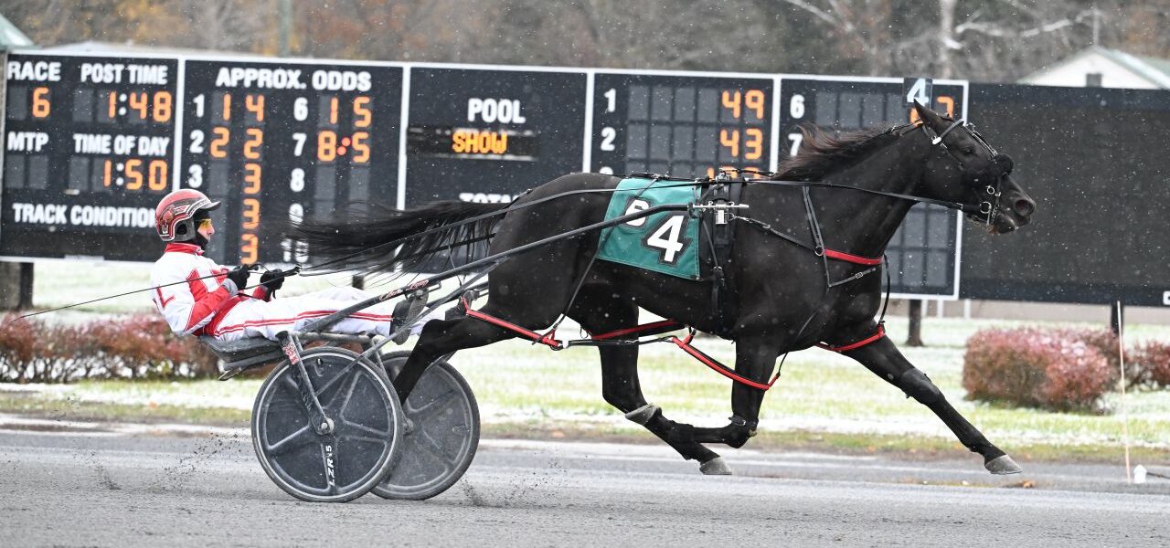 Saratoga Harness Racing Recap – Tuesday 11/11