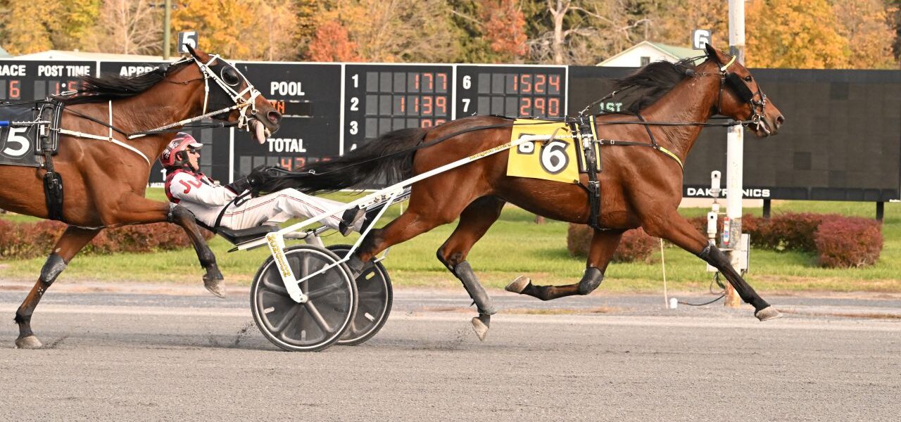 Saratoga Harness Racing Recap – Monday 11/3
