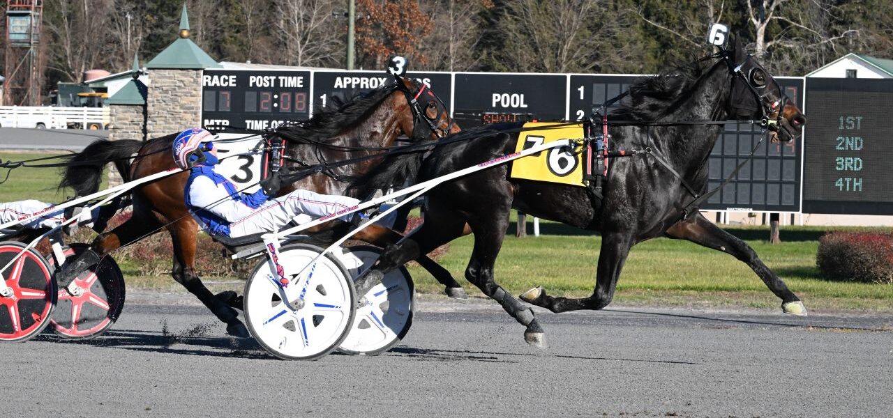 Saratoga Harness Racing Recap – Wednesday 11/19