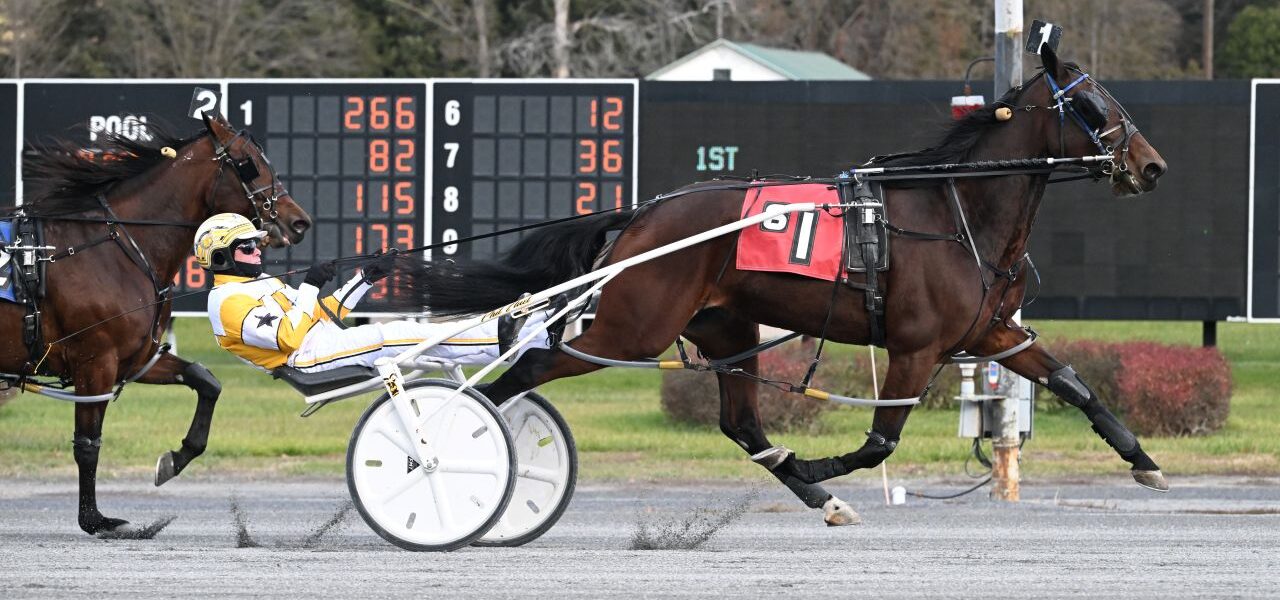 Saratoga Harness Racing Recap – Tuesday 11/18