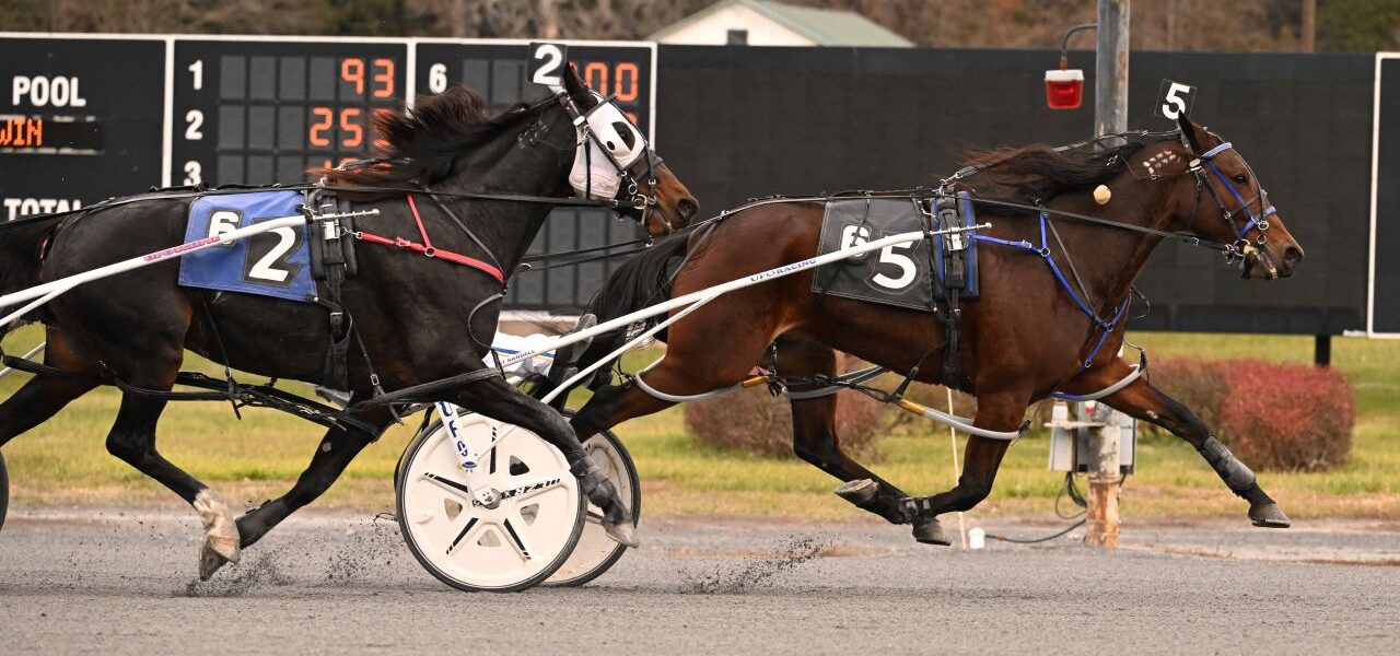 Saratoga Harness Racing Recap – Tuesday 11/25
