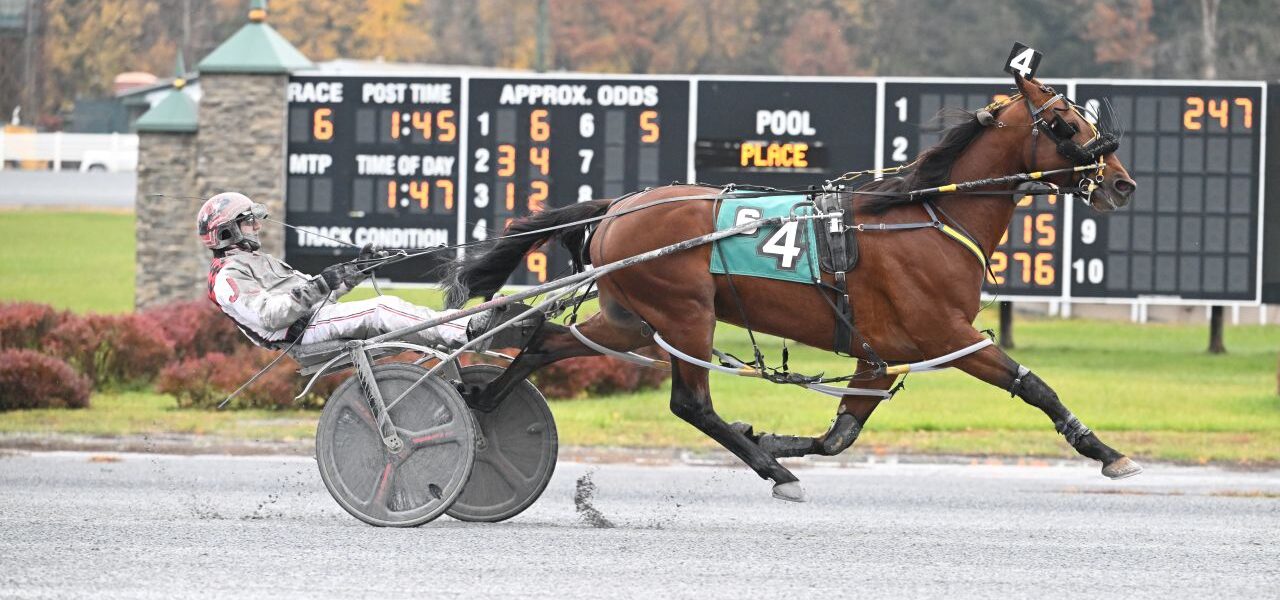 Saratoga Harness Racing Recap – Sunday 11/9