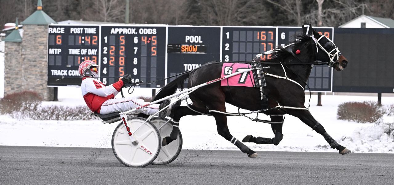 Saratoga Harness Recap – Sunday December 14