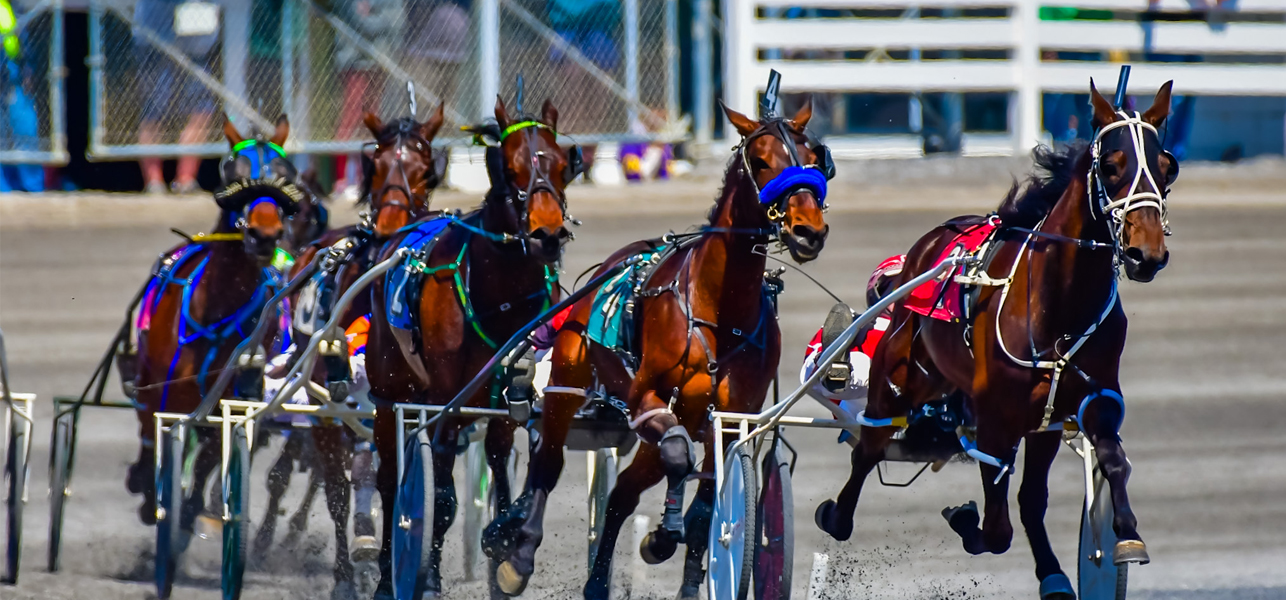 85th Season at Saratoga Harness Kicks Off February 1