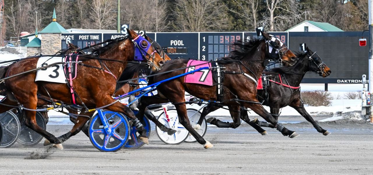 Saratoga Harness Racing Recap – Sunday 2/15