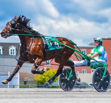 MICHAEL (MICKEY) MC GIVERN