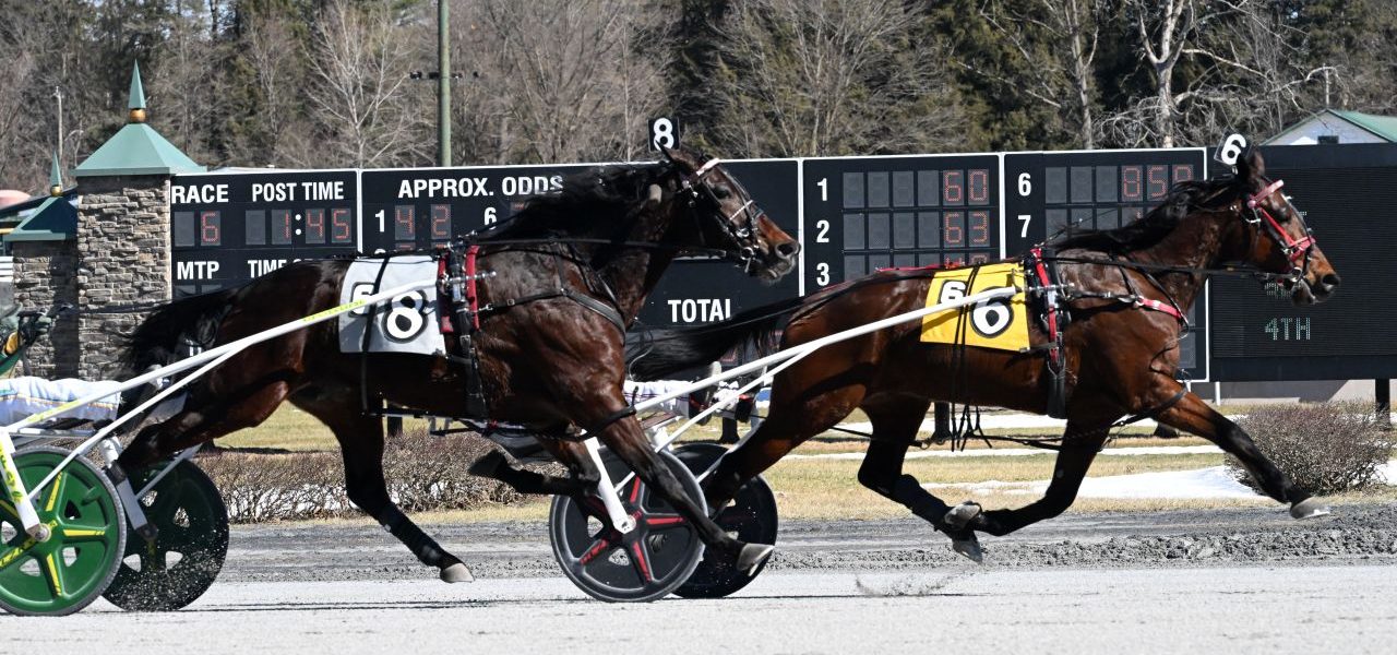 Saratoga Harness Racing Recap – Monday 3/9