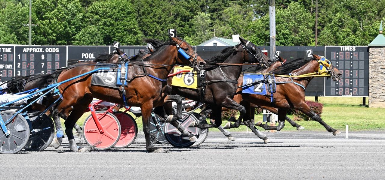 Saratoga Harness Racing Recap – Monday 6/15
